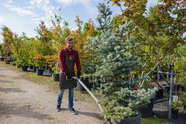 Best Tree Trimming Near Me  in Monroe North, WA